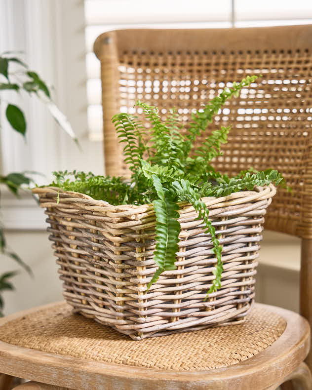 Bala Square Lined Planter Baskets