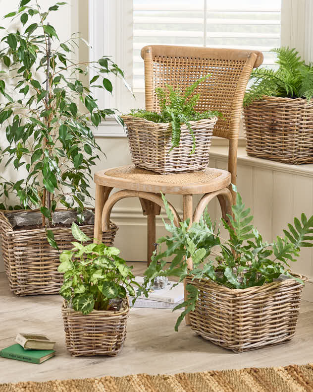 XS Natural Rattan & Plastic Baskets - Bala Square Lined Baskets