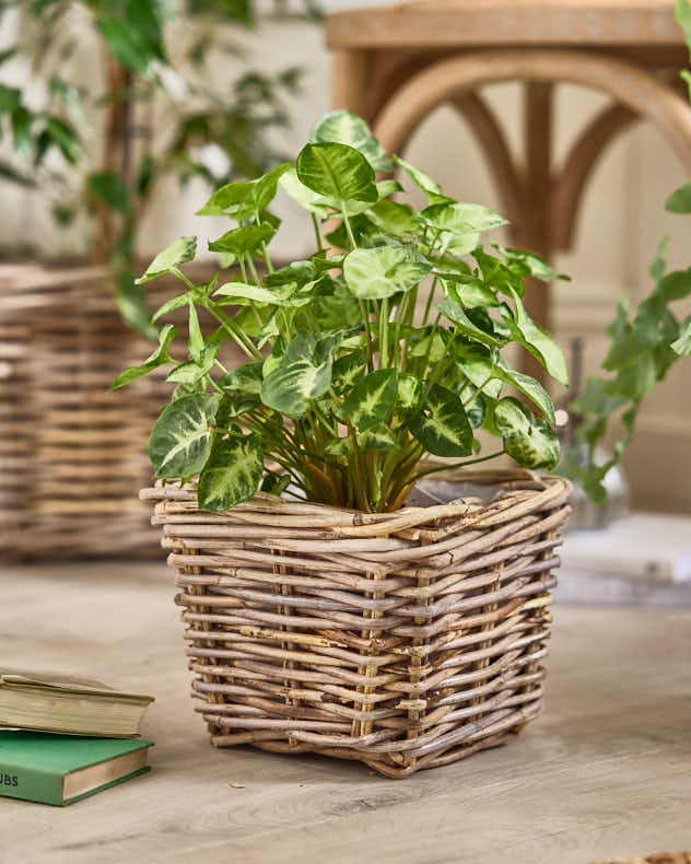 Baskets L - Bala Square Lined Baskets