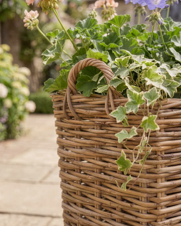 Tall Rattan Bedding Planters