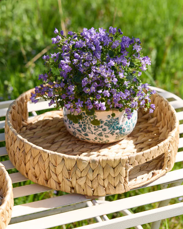 Water Hyacinth Tray