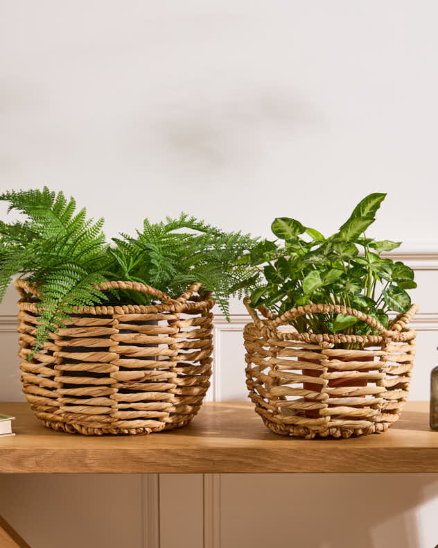 Water Hyacinth Open Weave Scalloped Basket