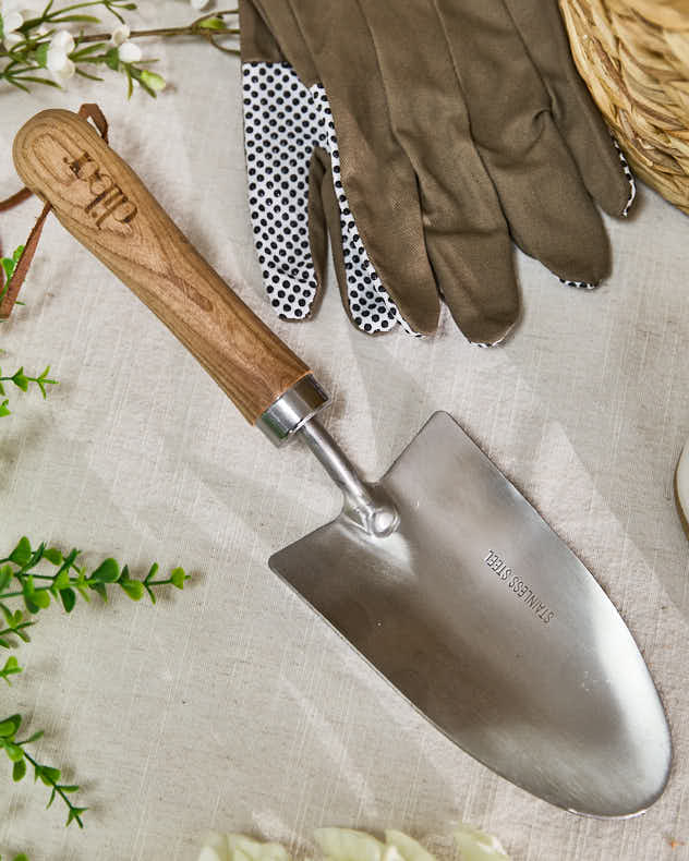 Mother's Day Plant Lover Gift Hamper