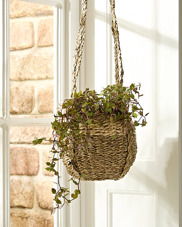 Emery Seagrass Hanging Planter