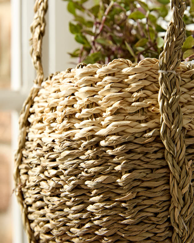 Emery Seagrass Hanging Planter