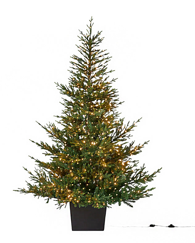 Alaskan Spruce Pre-lit Christmas Tree 7ft