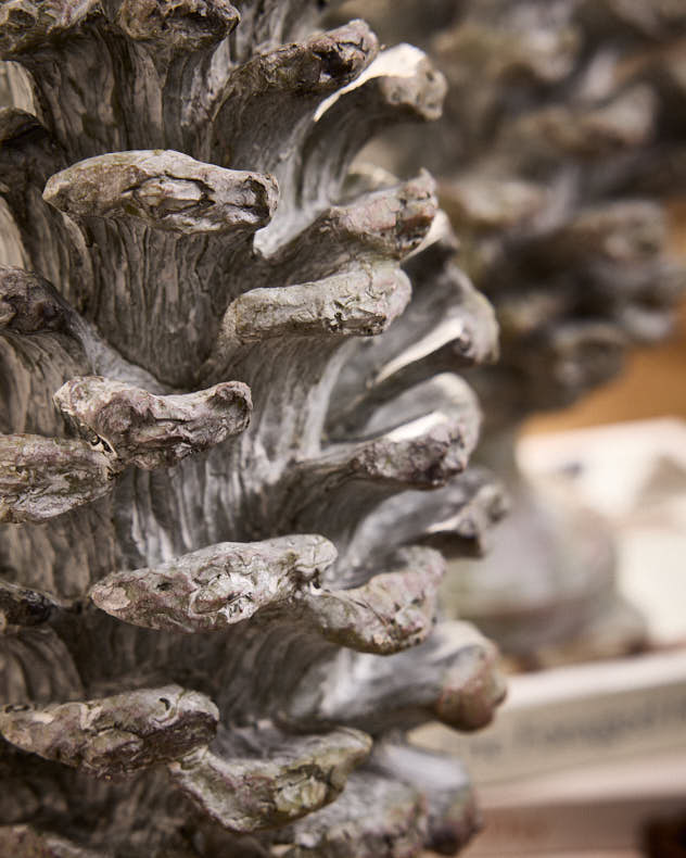 Standing Pinecone Ornament