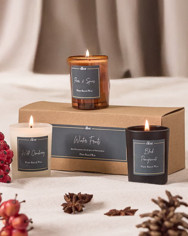 Winter Fruits Set of 3 9cl Candles