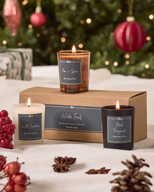 Winter Fruits Set of 3 9cl Candles