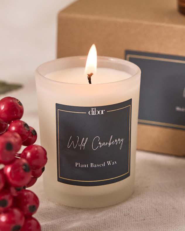 Winter Fruits Set of 3 9cl Candles