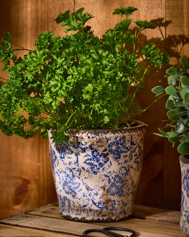 Milburn Blue Floral Plant Pots