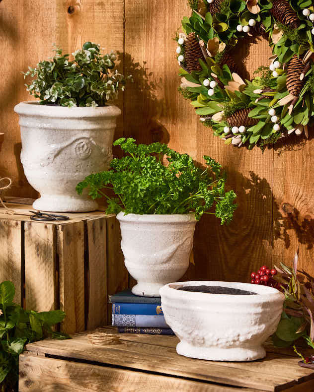 Whitehill Ceramic Planters