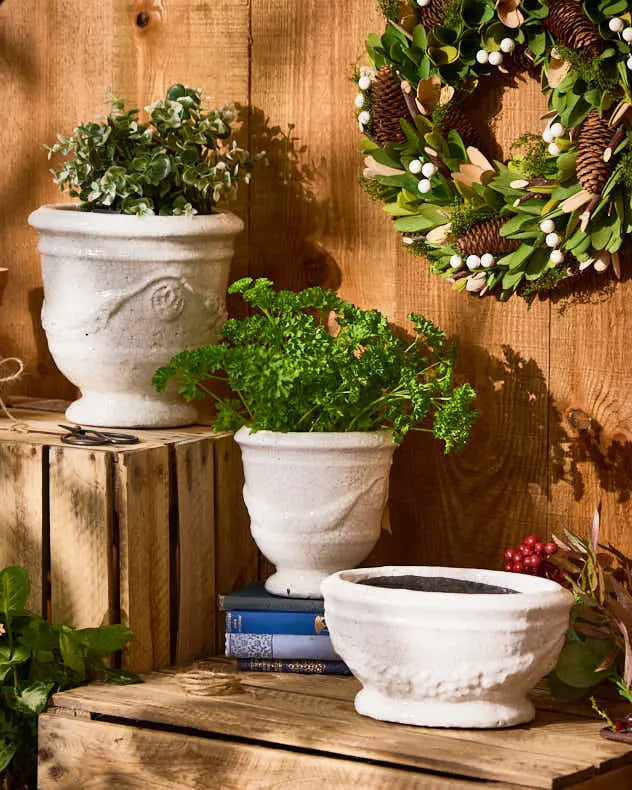 Ceramic Whitehill Planters