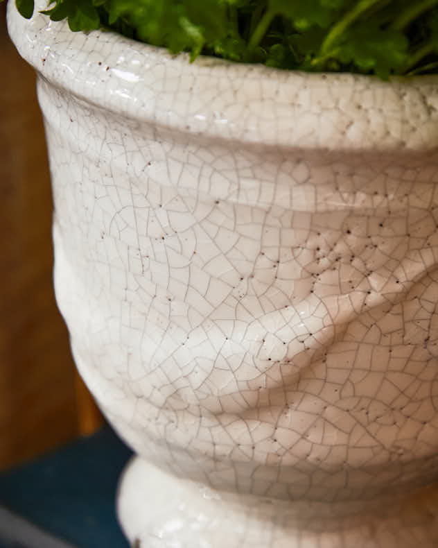 Whitehill Ceramic Planters