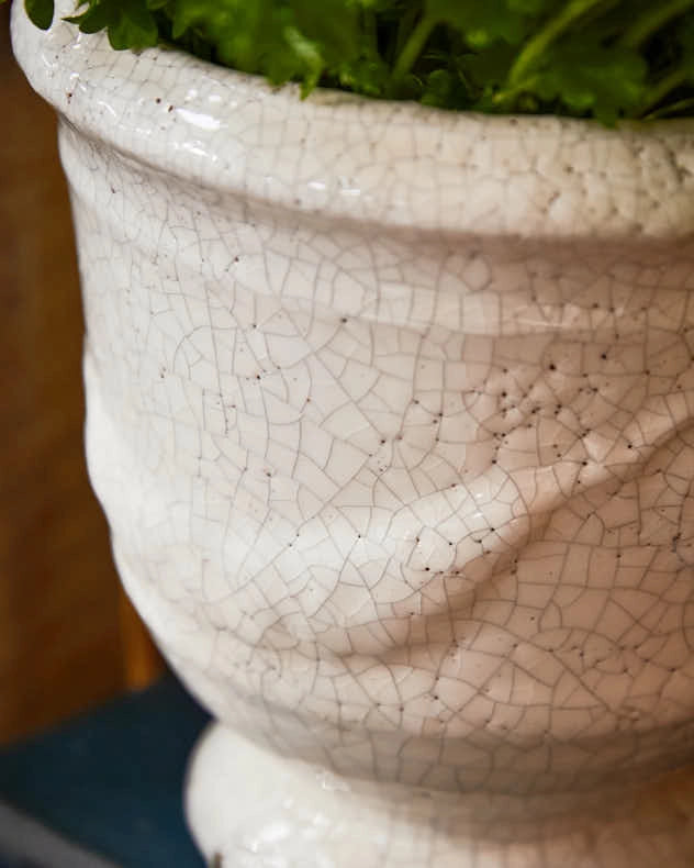 White Ceramic Planters Collection