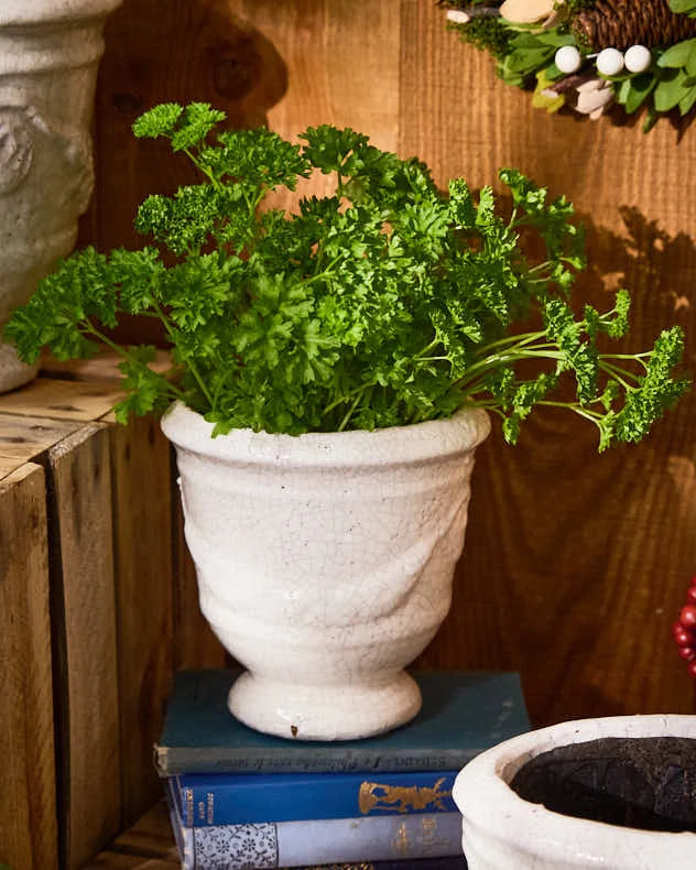 White Planter