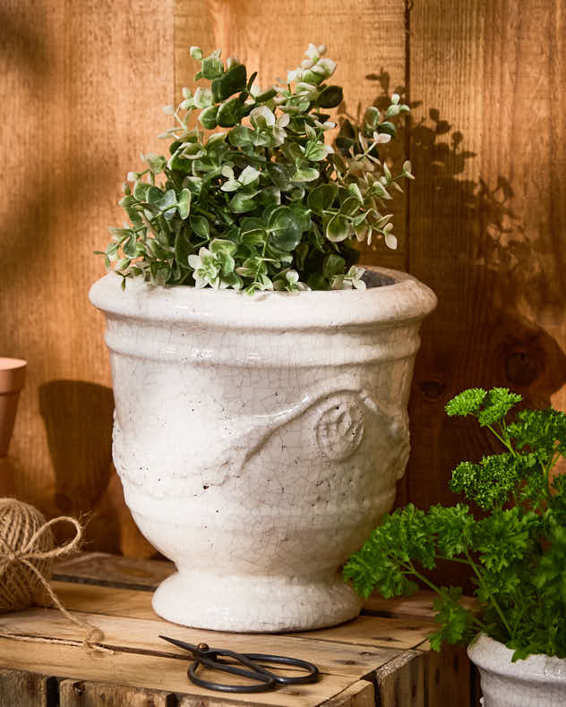 Whitehill Ceramic Planters