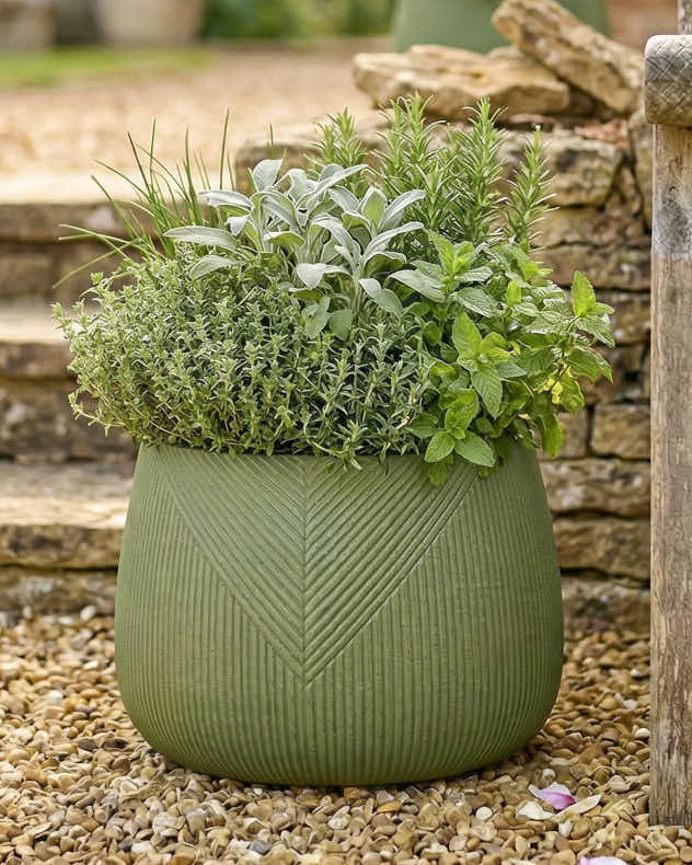 Pots &amp; Planters Medium - Kalo Green Striped Planter Collection