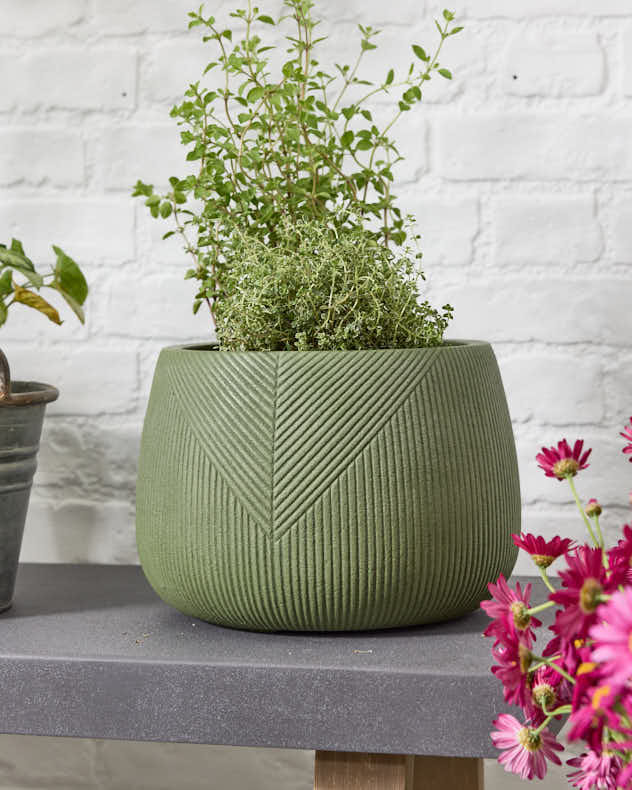 Small Green Pre-loved Etched Planter
