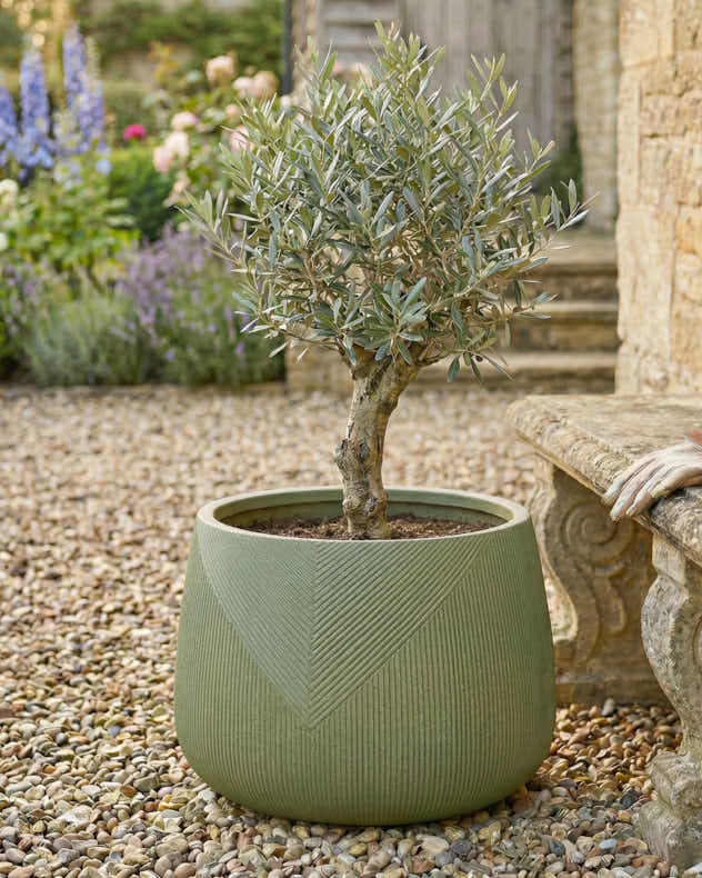 Pots &amp; Planters Large - Kalo Green Striped Planter Collection