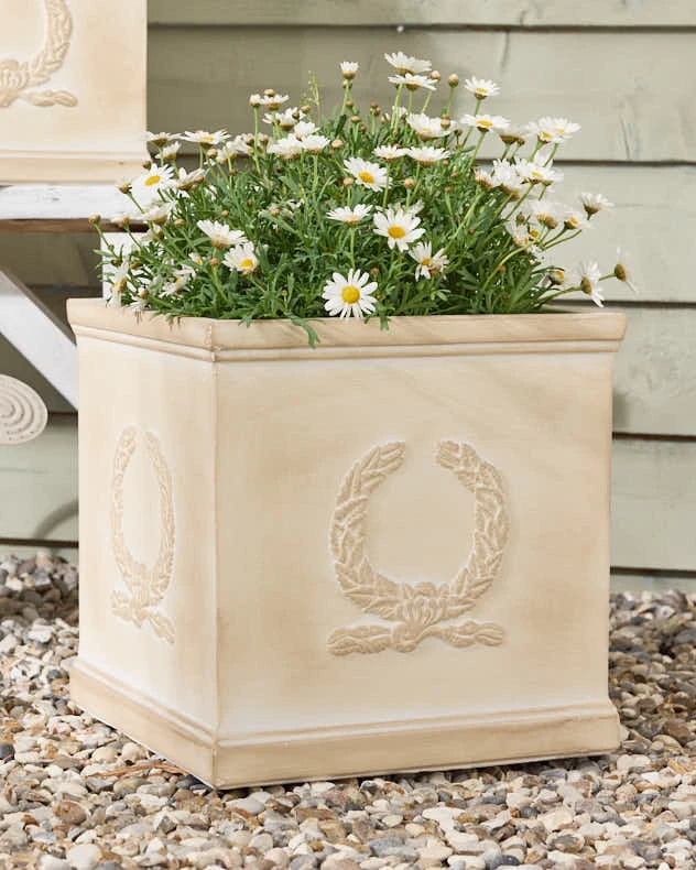 Beige Planter with white flowers