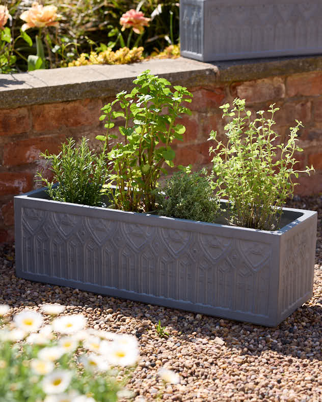 Chartres Grey Gothic Arch Planter Collection