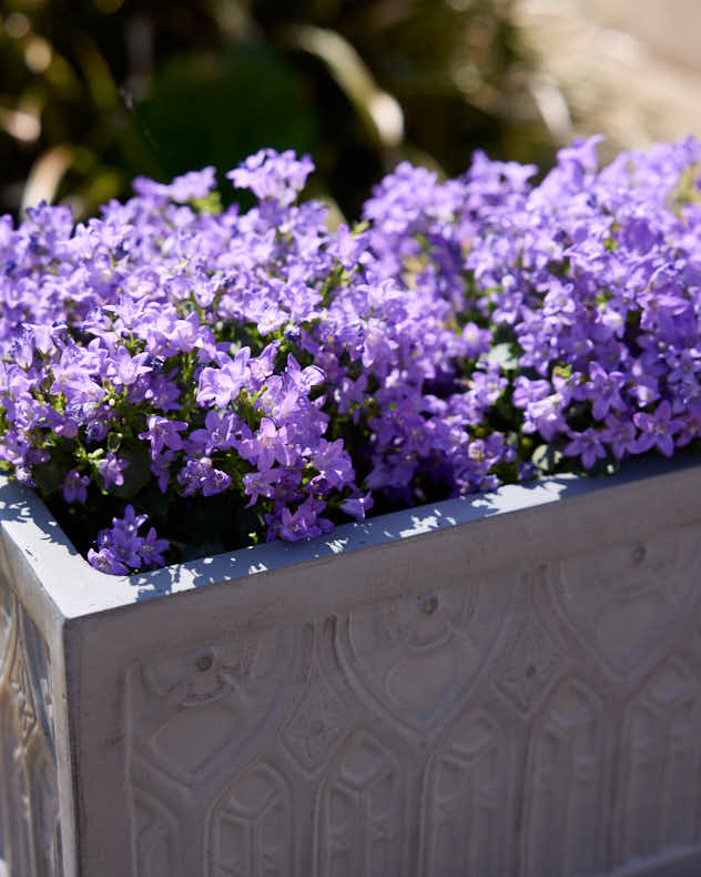 Chartres Grey Gothic Arch Planter Collection