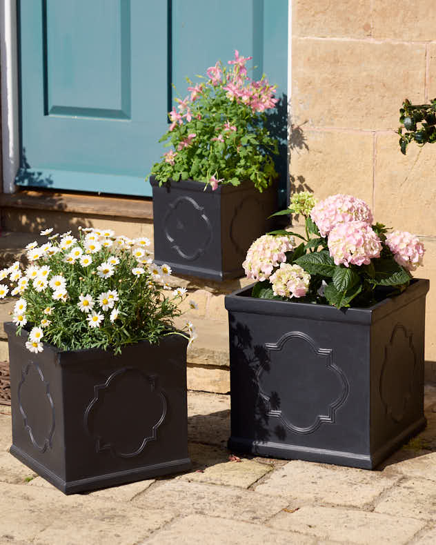 Monviso Black Embossed Planter Collection