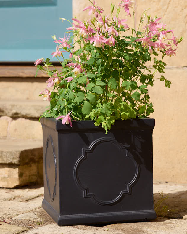 Monviso Black Embossed Planter Collection