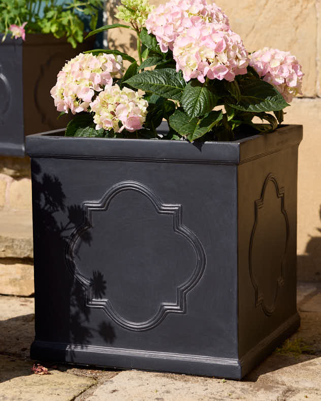 Monviso Black Embossed Planter Collection