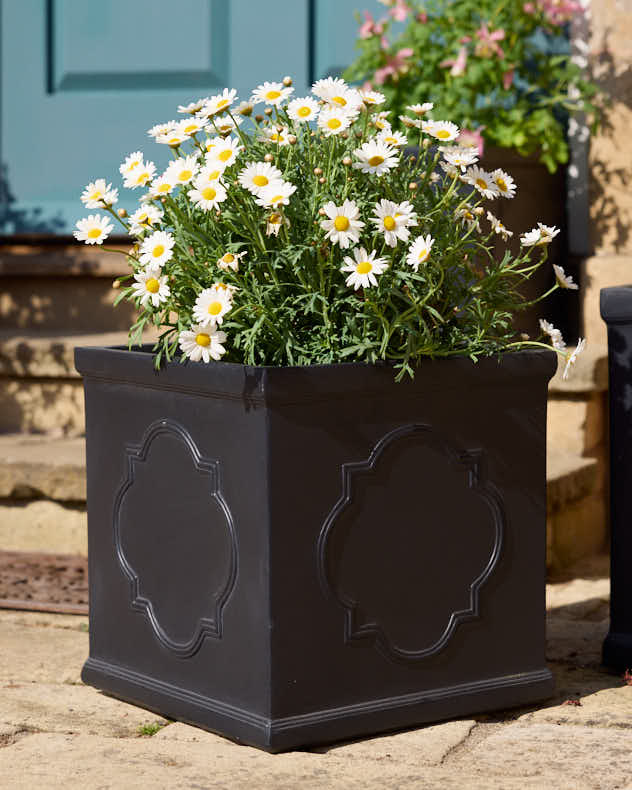 Monviso Black Embossed Planter Collection
