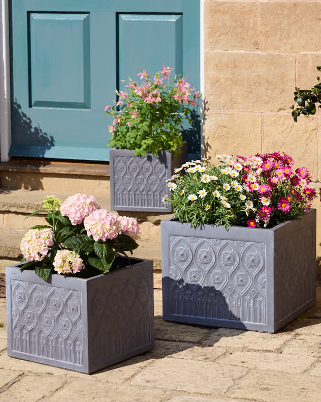Siena Grey Embossed Planter Collection