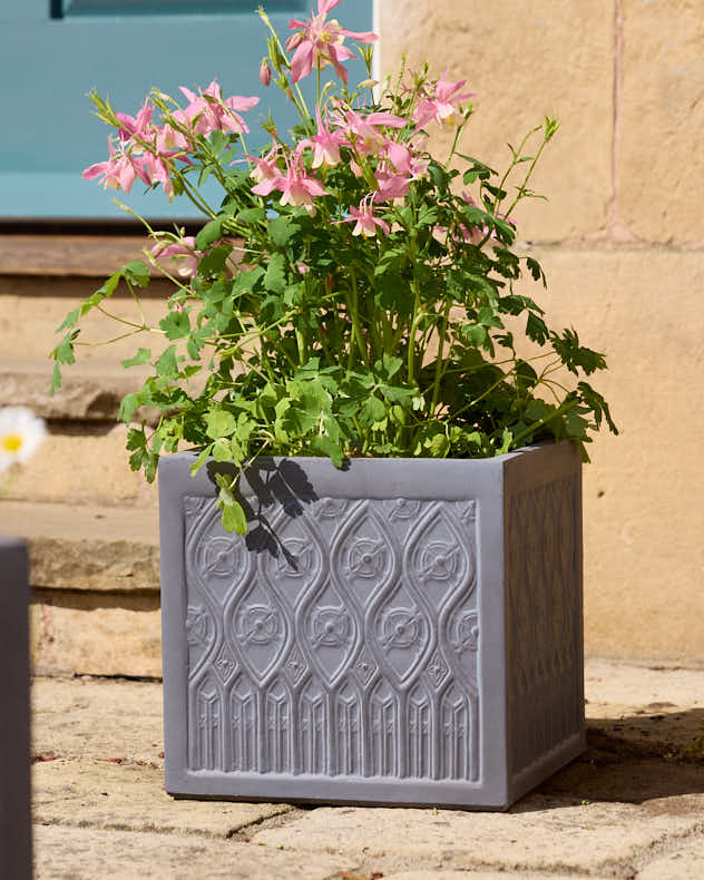 Siena Grey Embossed Planter Collection