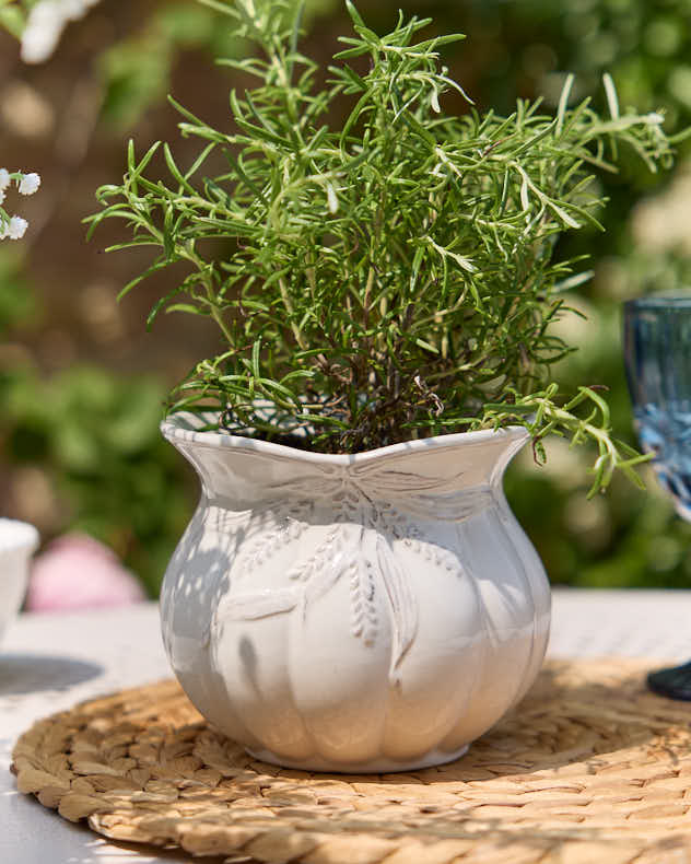 White Ceramic Pots & Planters - Radway White Plant Pot