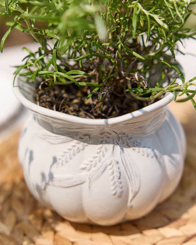 Pots & Planters - Radway White Plant Pot