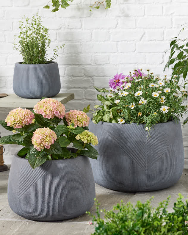 Silverstone Symmetry Stripe Planter Collection