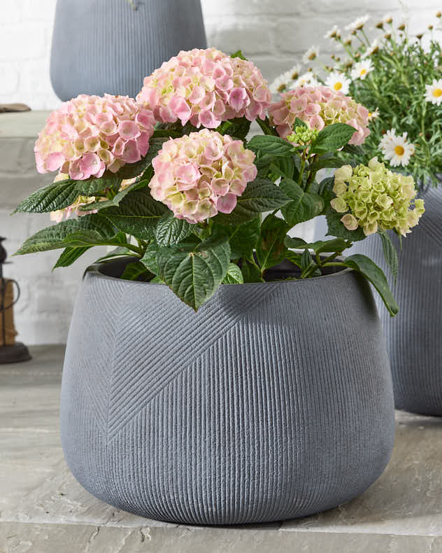 Silverstone Symmetry Stripe Planter Collection
