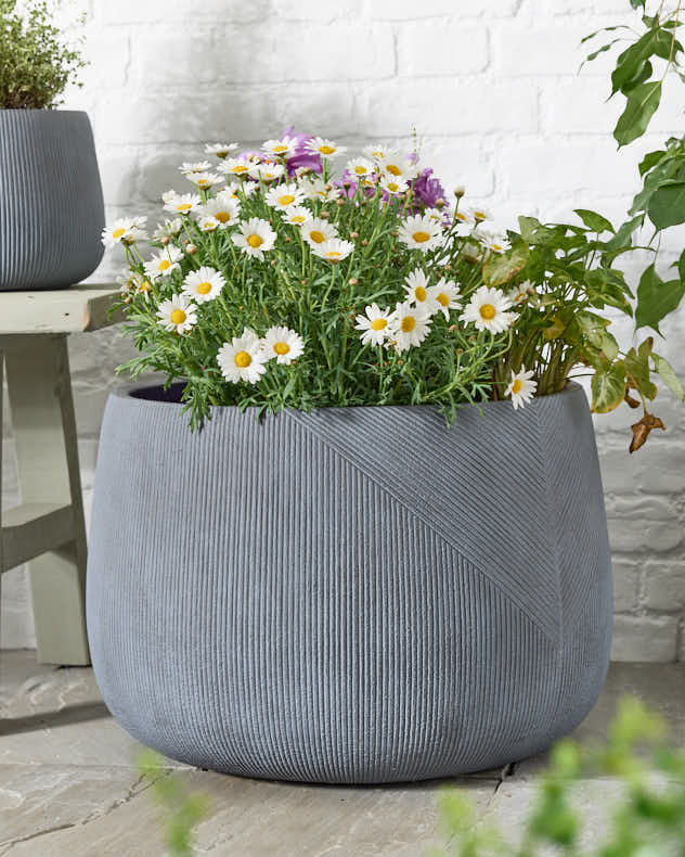 Silverstone Symmetry Stripe Planter Collection