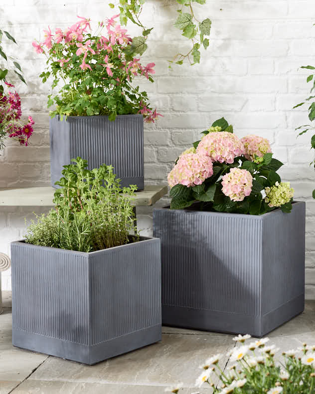 Agri Grey Ribbed Planter Collection