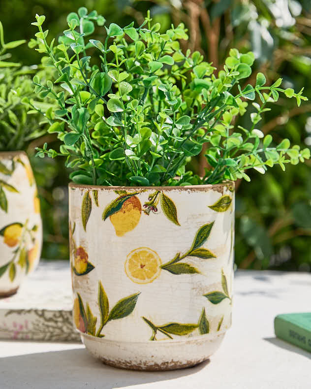 Ravello Lemon Planter Collection