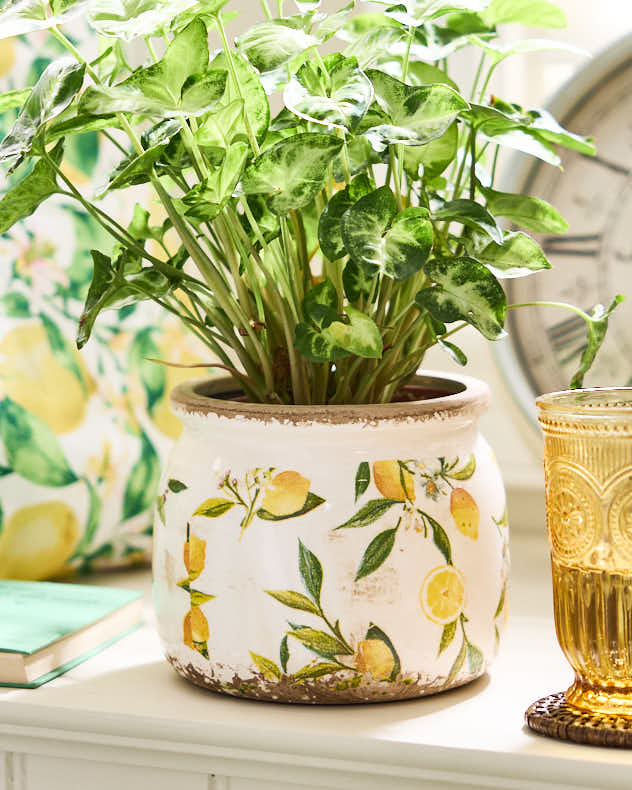 Ravello Lemon Print Fluted Planter