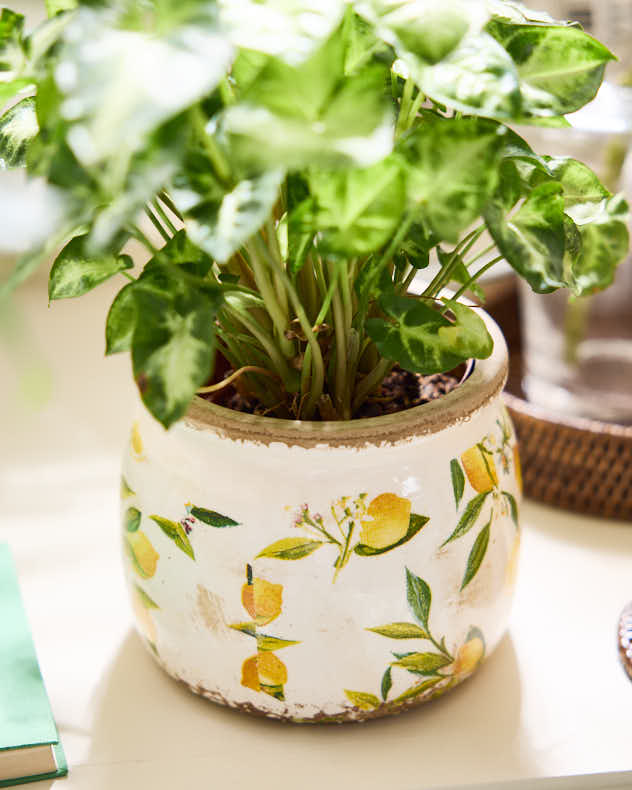 Ravello Lemon Print Fluted Planter