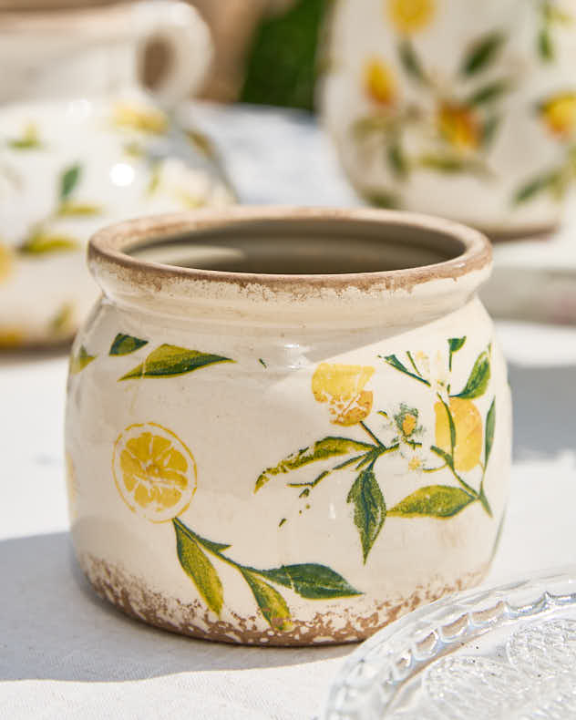 Ravello Lemon Planter Collection