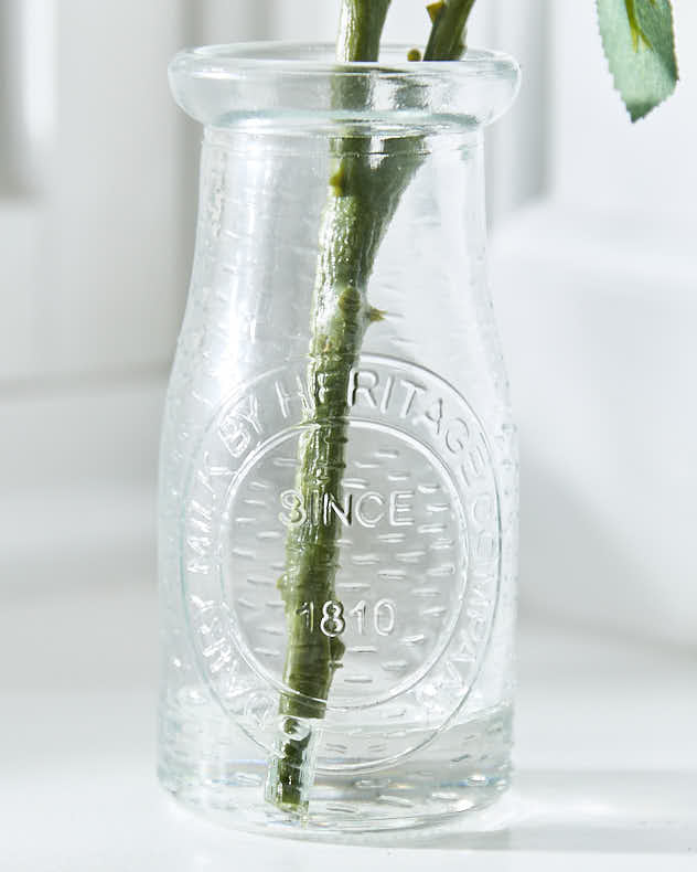 Pink Roses in Glass Vase