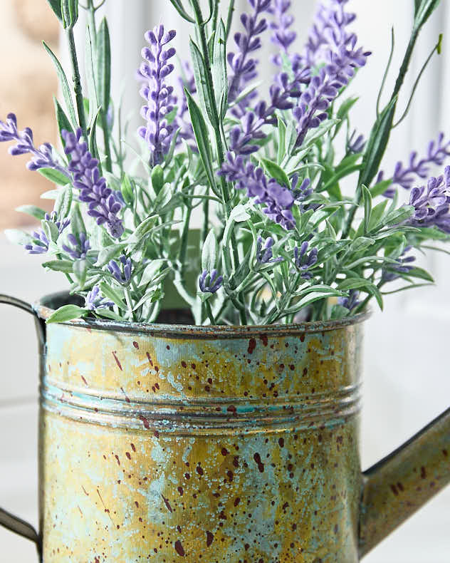 Spring Lavender in Watering Can