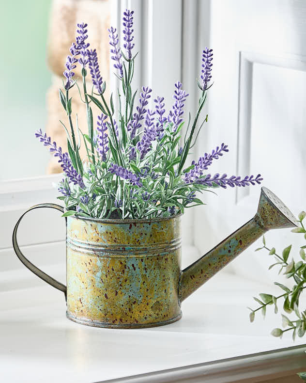 Spring Lavender in Watering Can