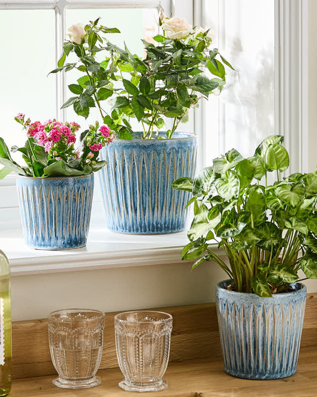 Blue Ceramic Pots & Planters - Set of 3 Ribbed Blue Planters