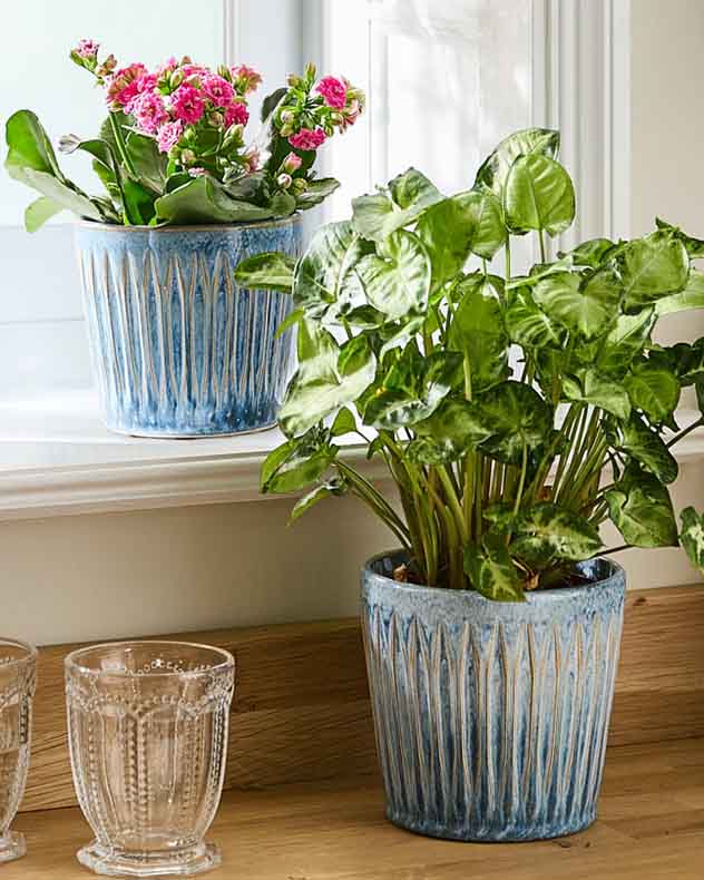 Set of 2 Ribbed Blue Planters