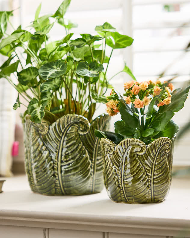 Green Ceramic Pots & Planters - Set of 2 Ceramic Fern Leaf Planters