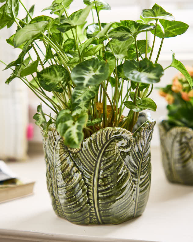 Pots & Planters - Set of 2 Ceramic Fern Leaf Planters